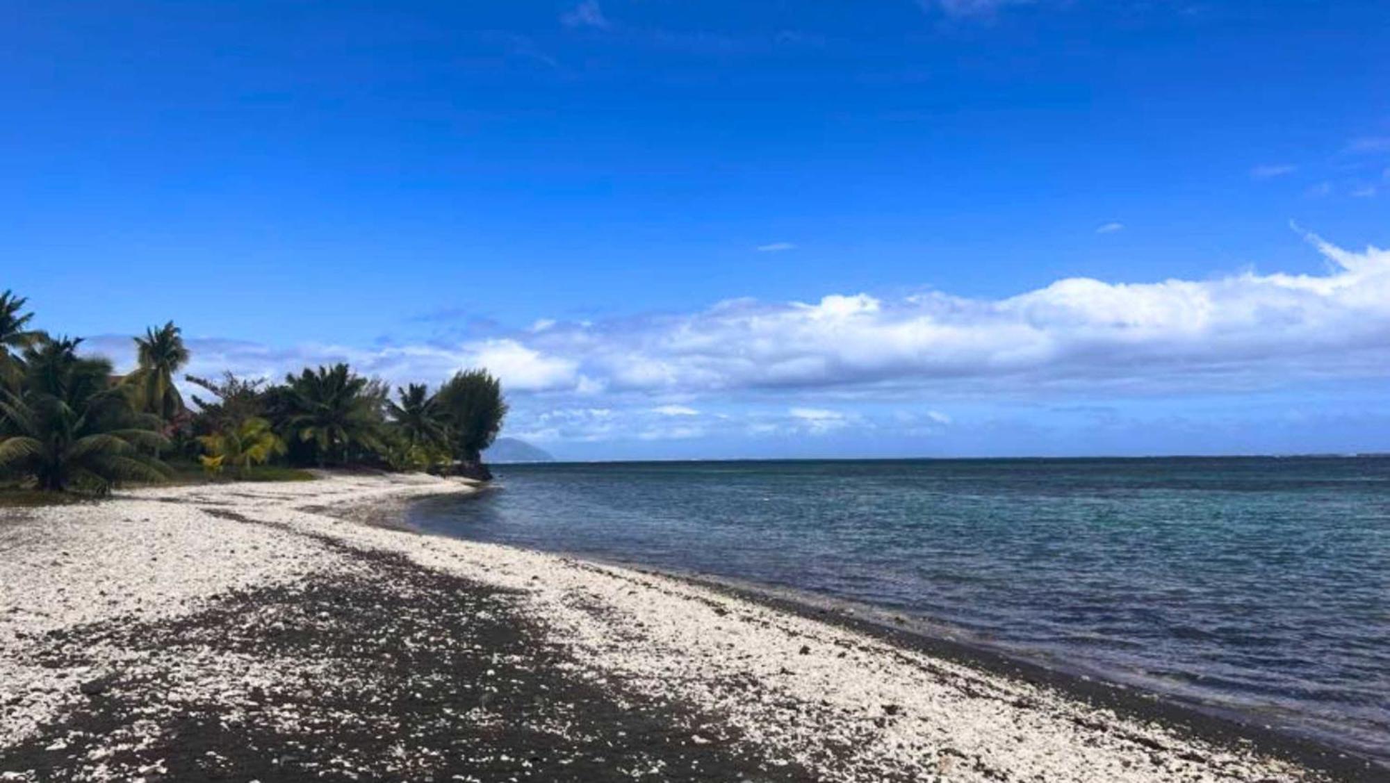 Tahiti - Mango Lodge Hotu Papara Eksteriør billede