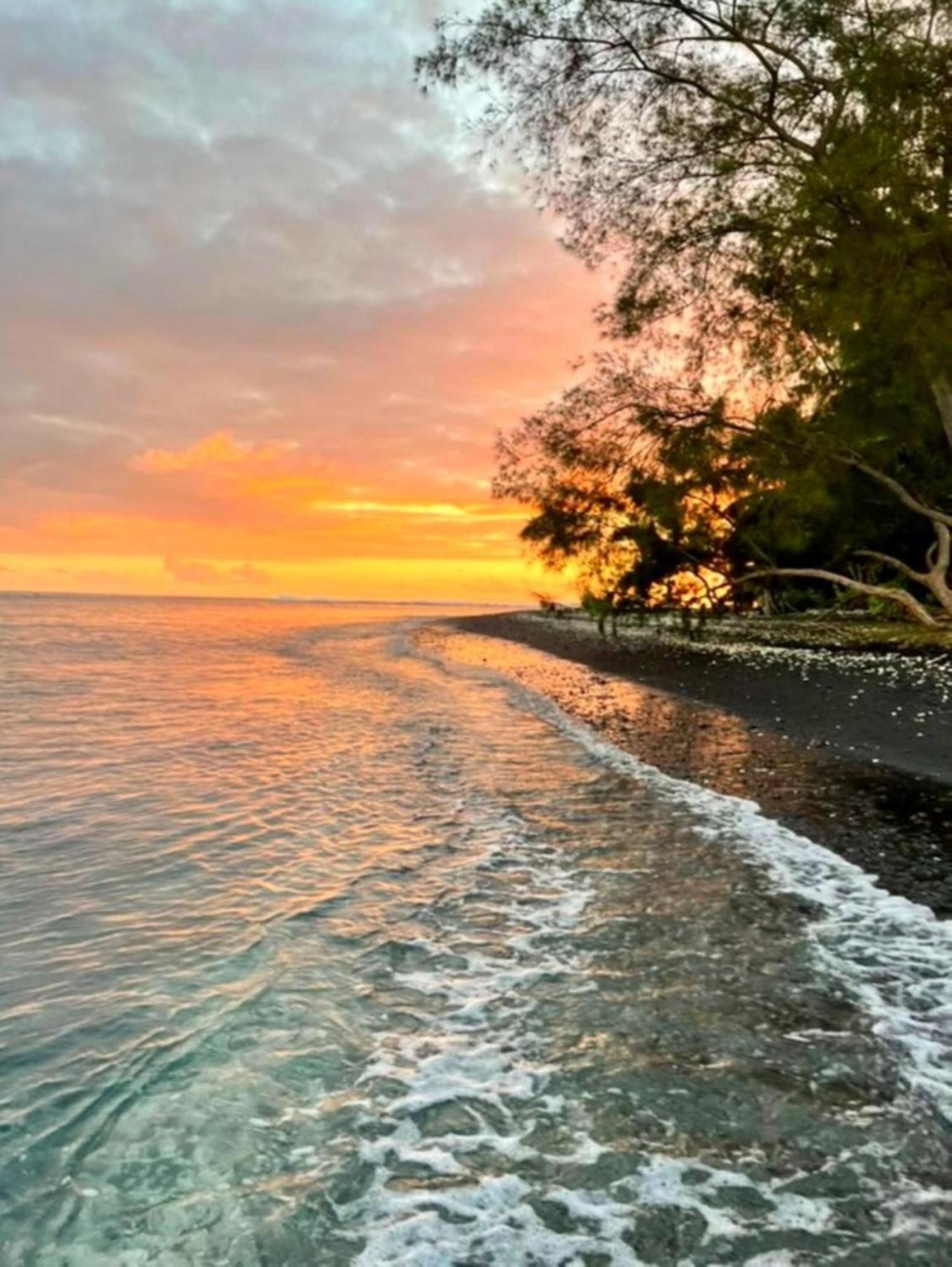 Tahiti - Mango Lodge Hotu Papara Eksteriør billede